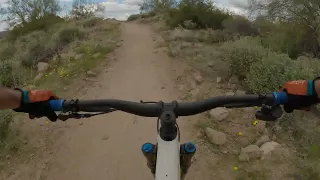 CLOSE CALLS on PURE O and BOULDERDASH | MTB Hawes AZ