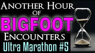 Bigfoot Ultra Marathon #5 - Another Hour of Bigfoot Encounters!