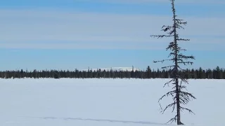 В поисках РЫБАЛКИ.ПЛОТВА монстр.