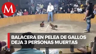 En Guanajuato tres personas fueron asesinadas en una pelea de gallos clandestina