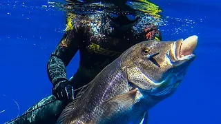 🔝TOP SHOTS💥Spearfishing MASTERPIECE Part 1