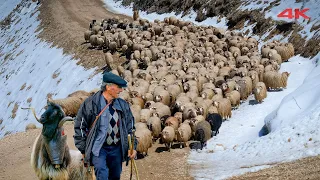 Issız Dağlardaki Adamın Göçü | Belgesel