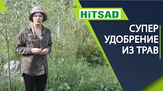 Чудо Удобрение из трав 🌱