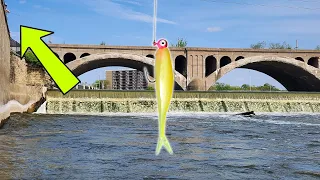 These People NEED to STOP! Kankakee River Spillway Fishing