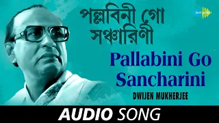 Pallabini Go Sancharini | Audio | Dwijen Mukherjee | Salil Chowdhury