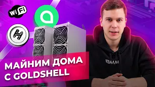 Домашняя майнинг ферма с Wi-Fi! GOLDSHELL CK-BOX и GOLDSHELL  HS-BOX