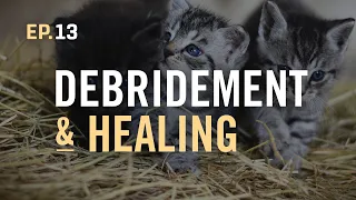 EP.13 / Debridement & Healing