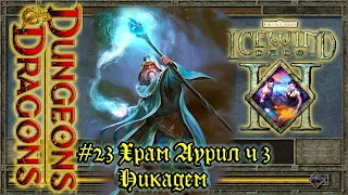 Icewind Dale 2 - #23 Храм Аурил, ч3: Никадем