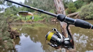 Just How Good Is The 22 Shimano Stella FK 1000? #shimano #australianbass #whopperplopper