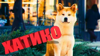 ХАТИКО:САМЫЙ ВЕРНЫЙ ДРУГ Hachi: A Dog's Tale (2009) Реальная история безграничной верности ФИЛЬМ