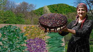 Village Style chocolate cake recipe: Collecting and storing herbs for drying in the village