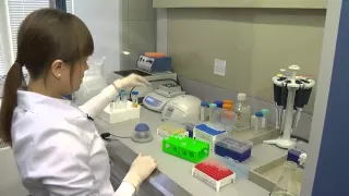 Знакомство с методами выделения геномной ДНК (Genomic DNA Isolation techniques overview)