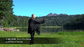 42 Tai Chi form back view 42太极拳背面全套