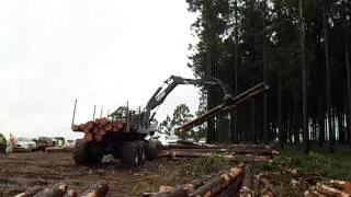 Timberpro forwarder offloading long pine logs