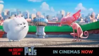 Watch #TheSecretLifeOfPets now showing in cinemas!