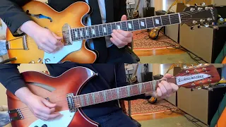 Ticket To Ride- The Beatles (Guitar Cover)