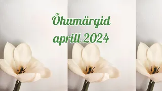 💨 Õhumärgid. Aprill 2024