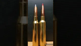 Cup-and-core bullets, are they good for hunting?