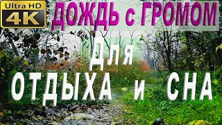 Шум дождя в лесу с раскатами грома. Для крепкого сна / The sound of rain in the forest with thunder