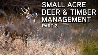 Small Property Deer And Timber Management Tip | Part 2