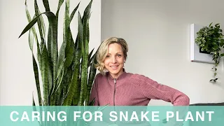 How I Care For My Snake Plant - Green Moments With Juliette Episode #02