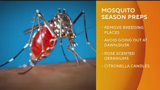 Here's how to prepare your home for mosquito season