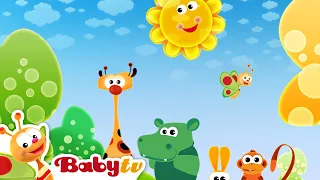 Morning Song | BabyTV Bahasa Indonesia