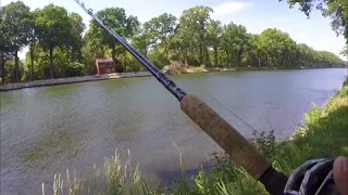 Pike fishing with lures (savage gear line thru roach )