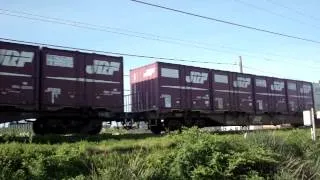 EF510-3レッドサンダー下り貨物列車富山機関区