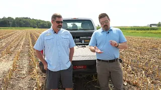 Bumper Crops: Cover Crops After Corn Silage Harvest