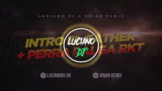 INTRO EL FATHER + PERRA PALGA - RKT - LUCIANO DJ FT BRIAN REMIX