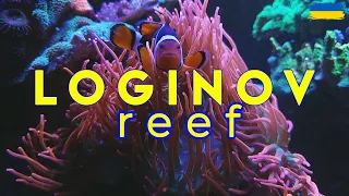 Морський акваріум Олександра Логінова | Reef Tank 800 l