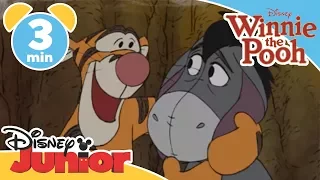Mini Adventures of Winnie The Pooh | Tigger and Eeyore | Disney Junior UK