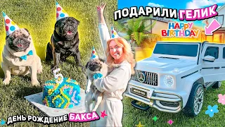 ПОДАРИЛИ ГЕЛИК НА ДЕНЬ РОЖДЕНИЕ..😱БАКСУ 5 ЛЕТ! делаем фотки как в PINTEREST!  birthday vlog ✨