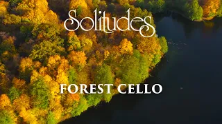 Dan Gibson’s Solitudes - The Fallen Leaves | Forest Cello