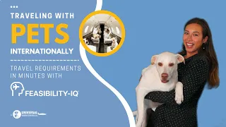 Traveling with Pets Internationally | Get requirements in minutes