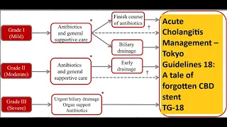 Acute Cholangitis Management – Tokyo Guidelines 18: A tale of forgotten CBD stent, post ERCP.