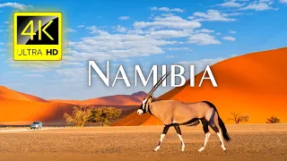 NAMIBIA 4K Video - Namibia Desert Wildlife - Documentary Film - Travel Around Namibia