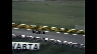 Ronnie Peterson's last win - Last lap of the 1978 Austrian GP at Österreichring (Natural Noises)