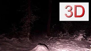 4K 3D Video, Winter Forest Night Flight with Snow and Ice