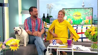 Alina Merkau upskirt - SAT.1-Frühstücksfernsehen 05.06.2019