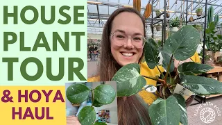 House Plant Tour and Hoya HAUL | Plant with Roos