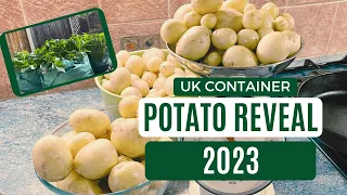 UK Container Potato Reveal 2023