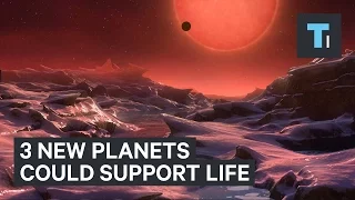 3 new planets could support life