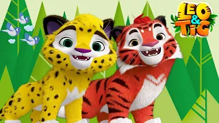 LEO and TIG 🦁 🐯 TOP 15 — All epsodes in a row ⭐ Cartoons collection 💚 Moolt Kids Toons Happy Bear