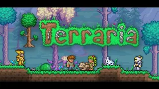 STREAM   собираю броню   Terraria