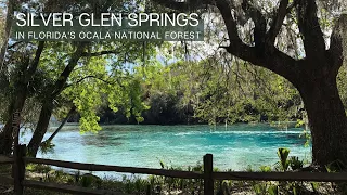 Silver Glen Springs in the Ocala National Forest