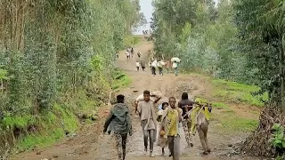 Tigray forces accused of mass killing