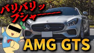 【AMG GTS】バブリングとブローオフ音が魅力的すぎて燃費がヤバいけど楽しすぎるクルマでしたw