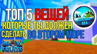 ТОП 5 ВЕЩЕЙ КОТОРЫЕ ТЫ ДОЛЖЕН СДЕЛАТЬ во 2 МОРЕ в БЛОКС ФРУТС😱 СОВЕТЫ для НОВИЧКОВ Blox Fruits БФ BF